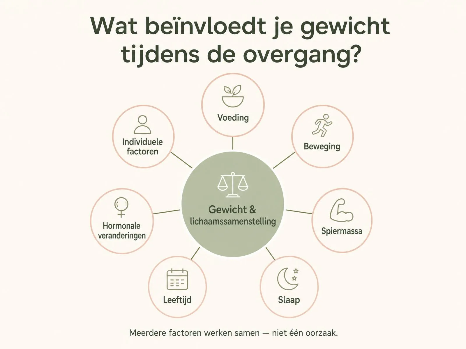 Infographic met zeven factoren die je gewicht tijdens de overgang beïnvloeden: voeding, beweging, spiermassa, slaap, leeftijd, hormonale veranderingen en individuele factoren