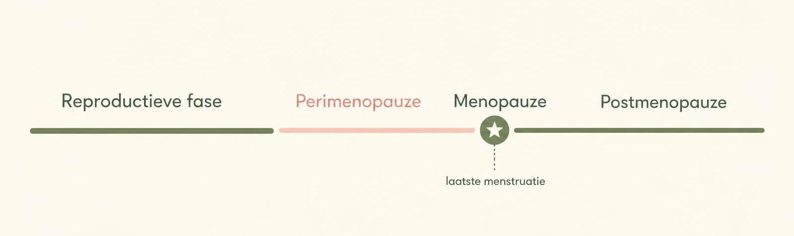 Tijdlijn van de overgang: reproductieve fase, perimenopauze, de menopauze als één moment, en daarna de postmenopauze