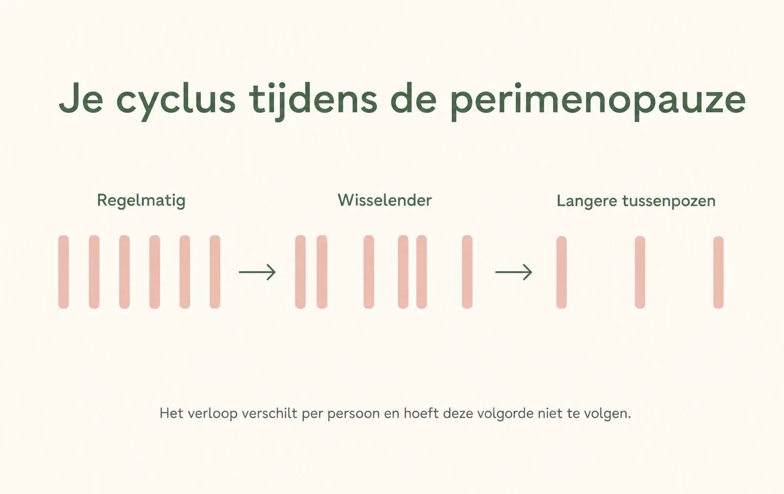 Infographic: je cyclus tijdens de perimenopauze kan van regelmatig naar wisselender en langere tussenpozen gaan