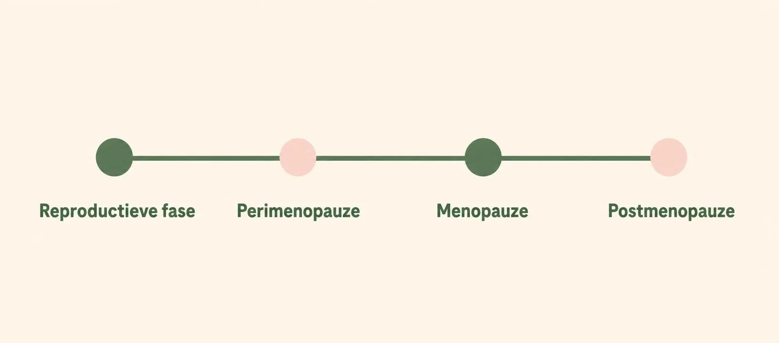 Tijdlijn met vier fases: reproductieve fase, perimenopauze, menopauze en postmenopauze